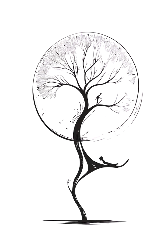 Organizzazione degli Spazi